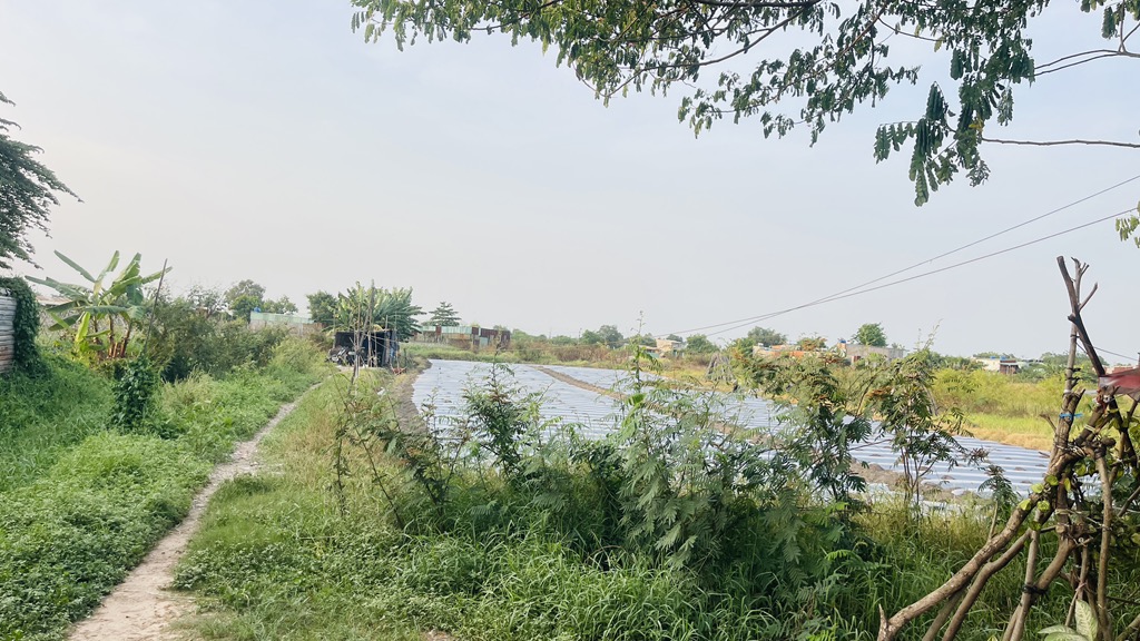 Cơ Hội Vàng! 3018m2 Đất CLN Bình Chánh, Lê Thị Dung - Chỉ 23 tỷ, Sổ Hồng, Đường 10m! - Ảnh 2